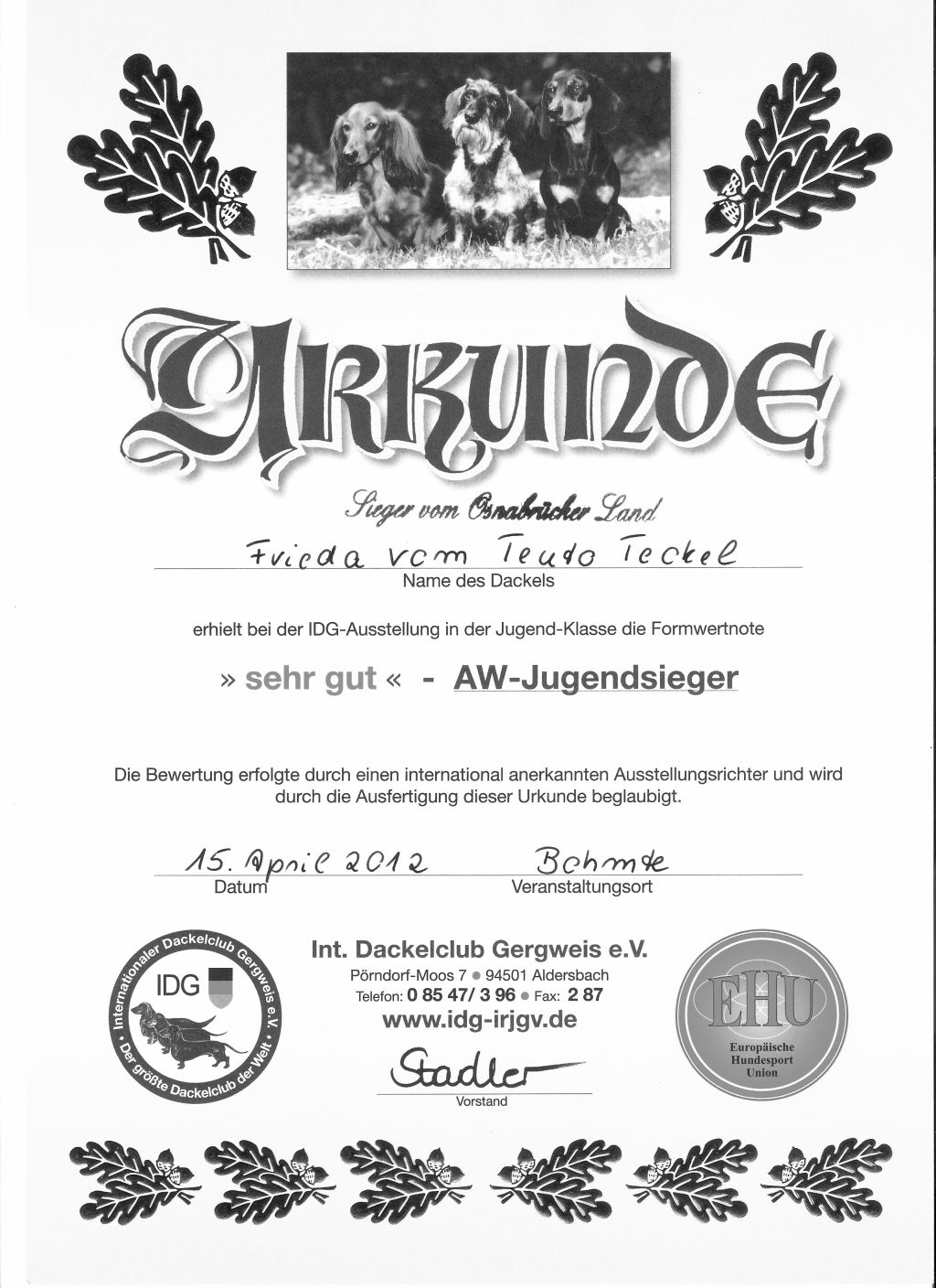 Frieda vom Teuto Teckel schoko Rauhaardackel vorzglich CACIB 15.04.2012