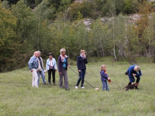 Dackel beim Spaziergang