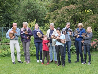 Gruppenbild mit Dackeln