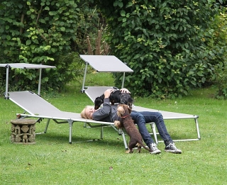 Dackel beim Spaziergang