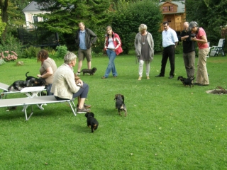 Teuto Teckel Treffen